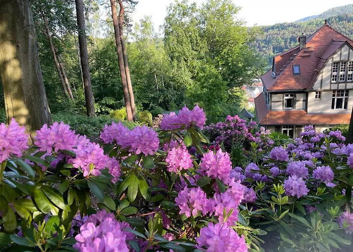Villa Sonnenburg