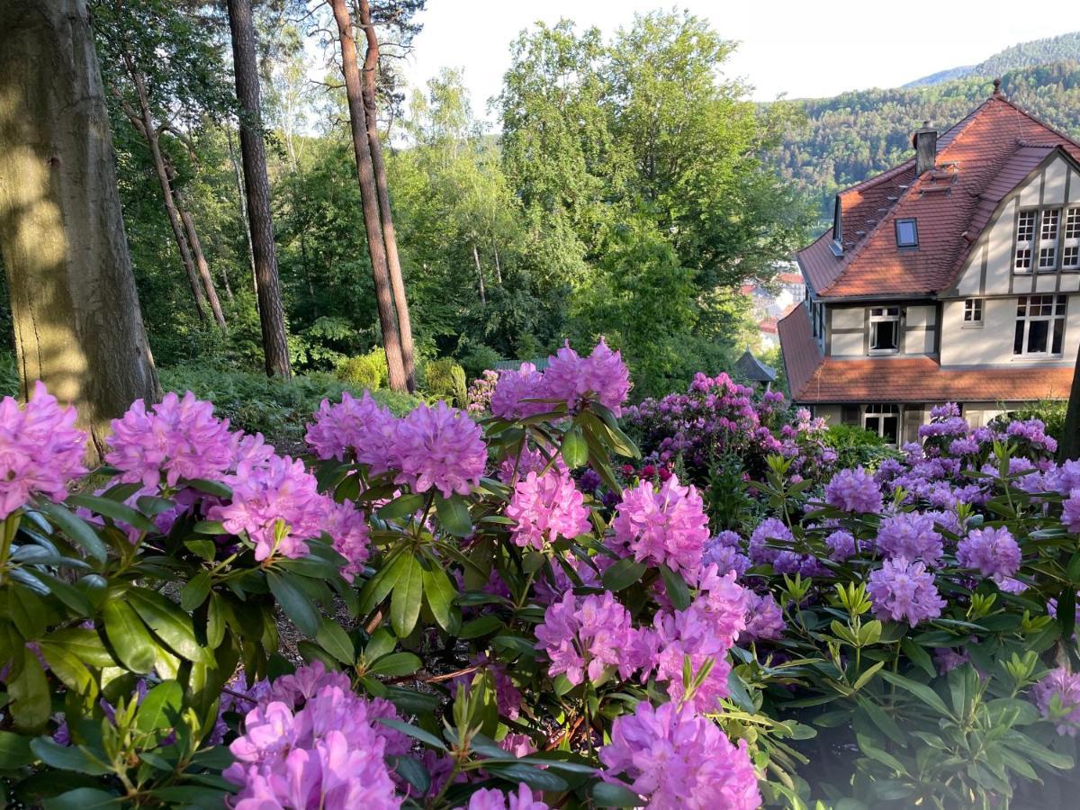 Apartament Sonnenburg *